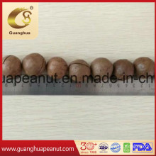 Cheaper and Good Quality Macadamia Nuts